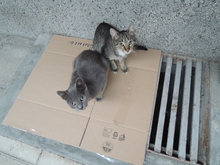 20120918 175709